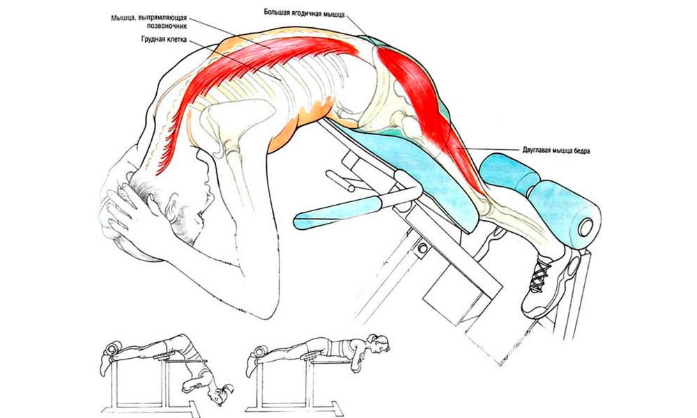 Гиперэкстензия на спину — как делать правильно? техника упражнения