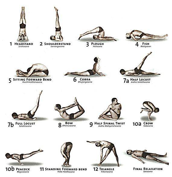 Уроки хатха-йоги для начинающих — 10 особенных асан