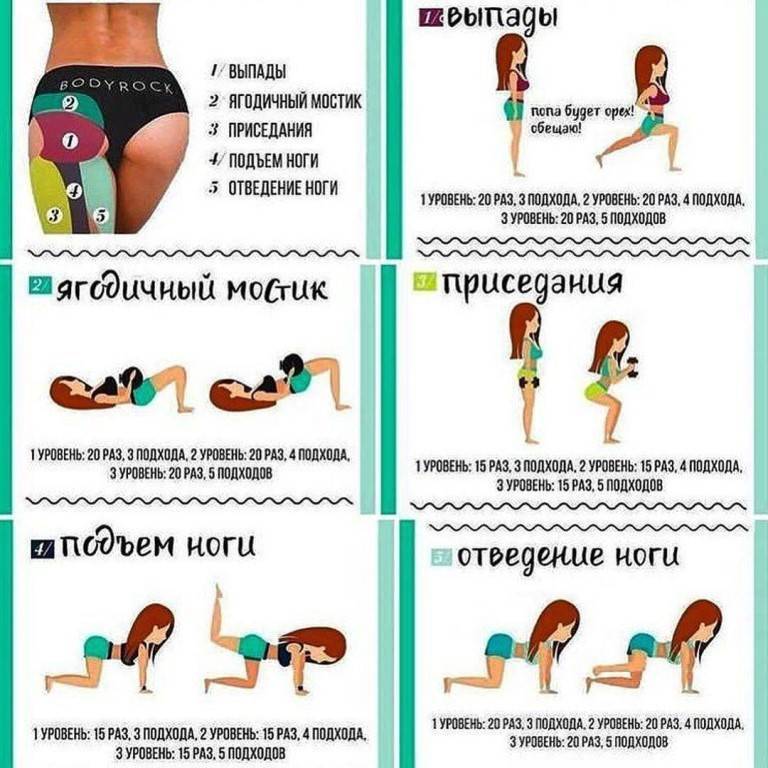 Эффективные упражнения для ягодиц: какие самые лучшие