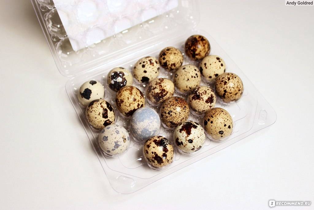 Полезные свойства перепелинных яиц
