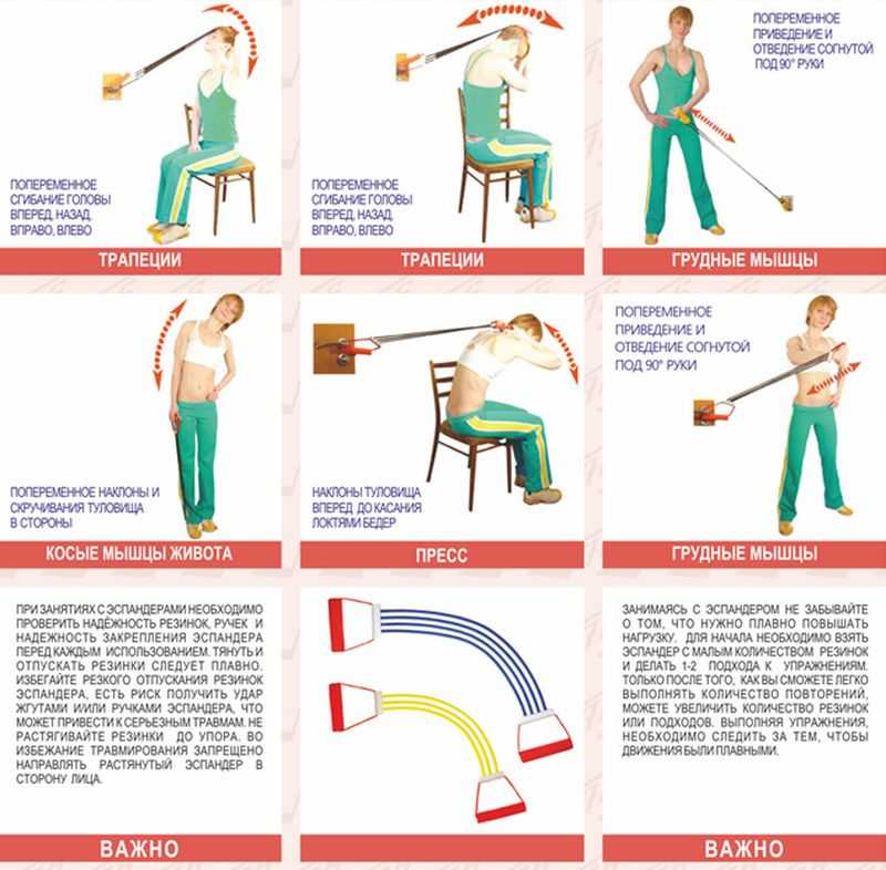 Упражнения с эспандером для грудных мышц в домашних условиях