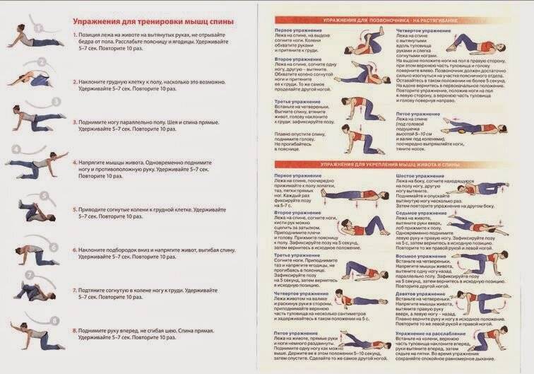 Топ-20 упражнений для спины с гантелями и без инвентаря (для мужчин и женщин)