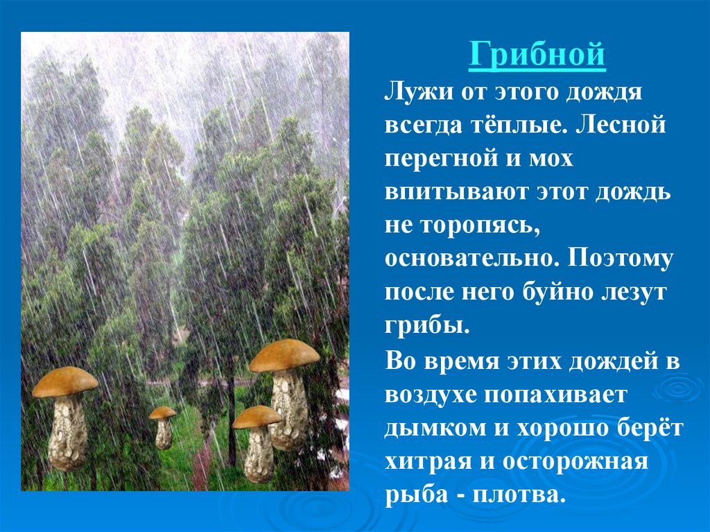 Сочинение дождливый летний день именно в такой. Рассказ о грибном Дожде. Рассказ о Дожде. Грибной дождь описание. Художественное описание дождя.
