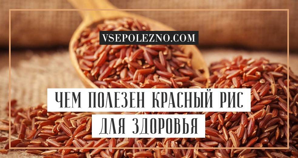 Рис, польза и вред для здоровья человека