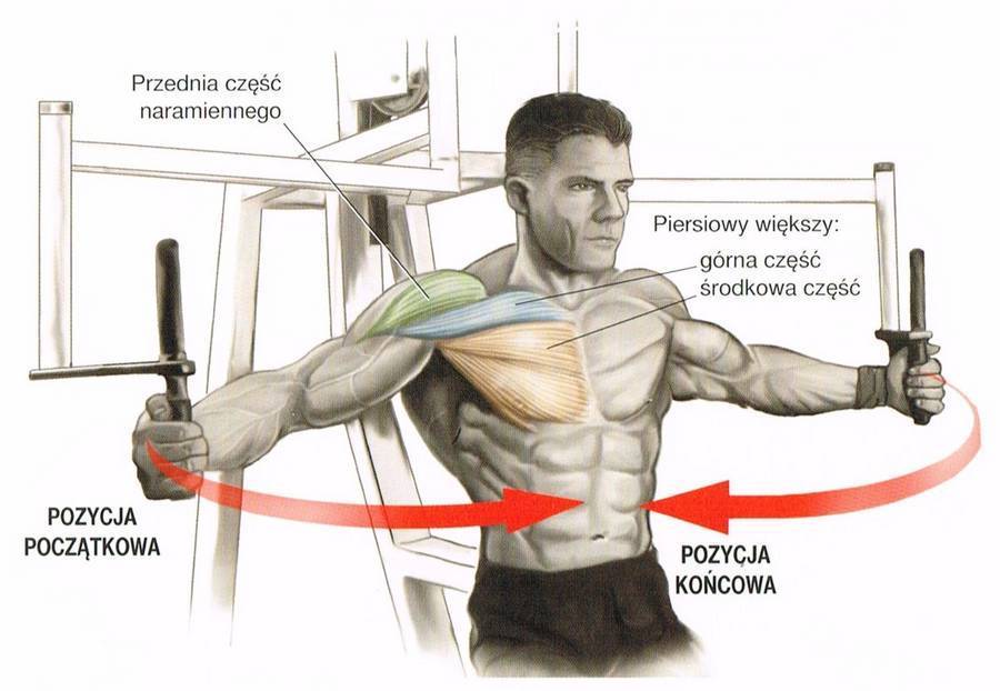 Как выполнять жим в тренажере для верха груди. методика тренировки грудных мышц