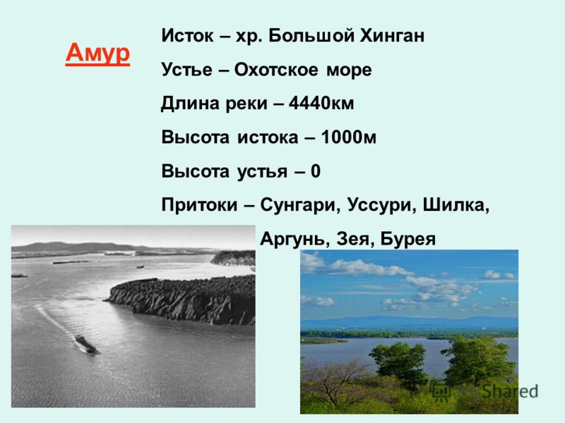 Река амур