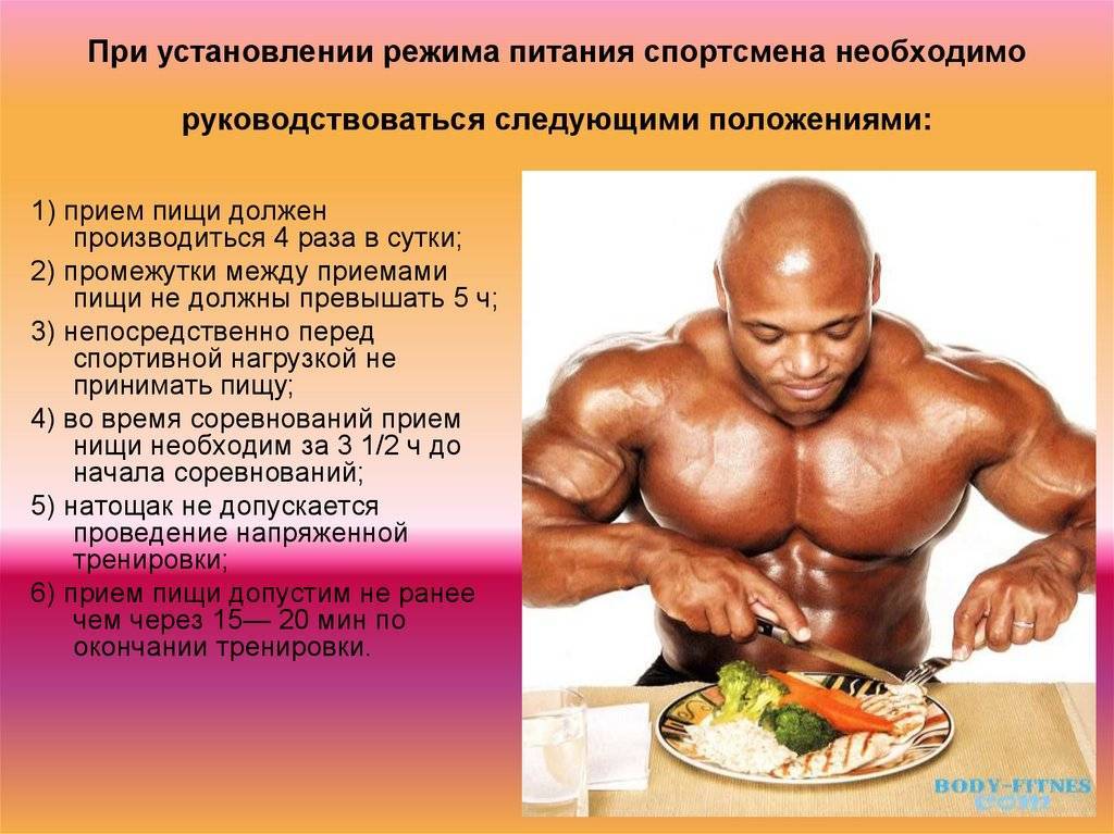 Питание для роста мышц