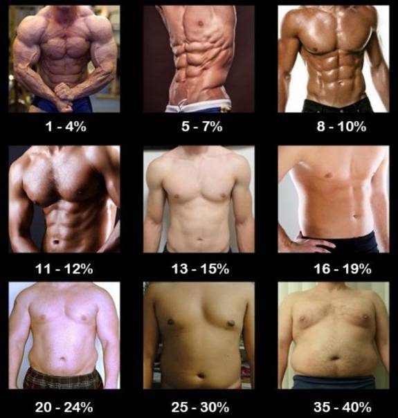Процент жира в организме: норма для женщин и мужчин