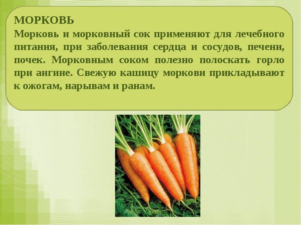 Химический состав и калорийность моркови: почему это важно знать? как есть овощ, чтобы усвоился витамин а?