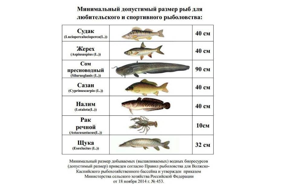Карта рыболовных мест оренбургской области