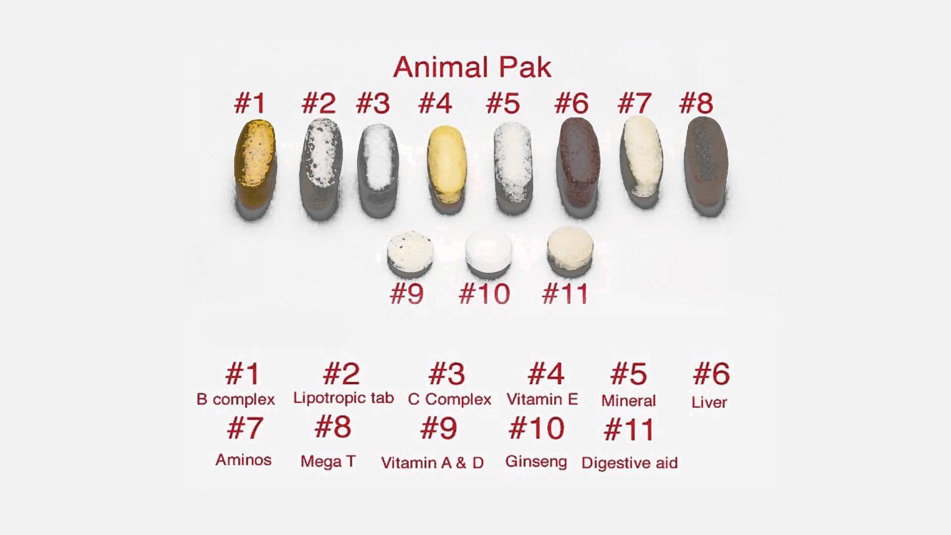 Animal pak: отзывы и описание, как принимать витамины энимал пак, состав таблеток