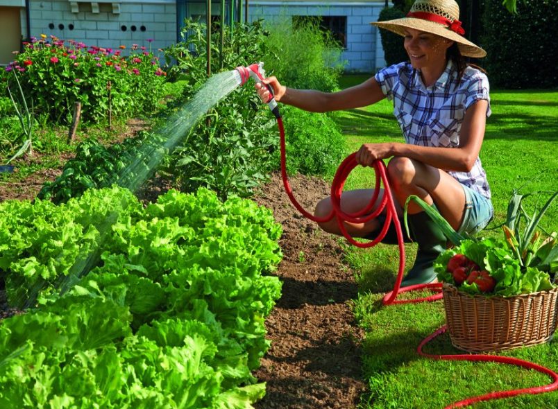 Как поливать огород из колодца