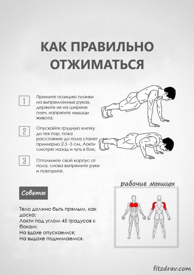 Обратные отжимания от скамьи: техника выполнения и рекомендации | rulebody.ru — правила тела