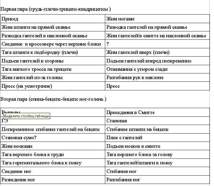 5 программ тренировок бицепса — от новичка до профессионала