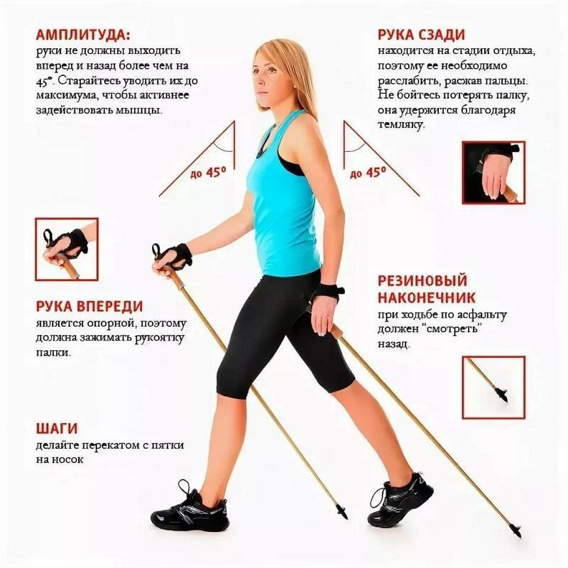 Скандинавская ходьба с палками: техника ходьбы для пожилых, правила и противопоказания