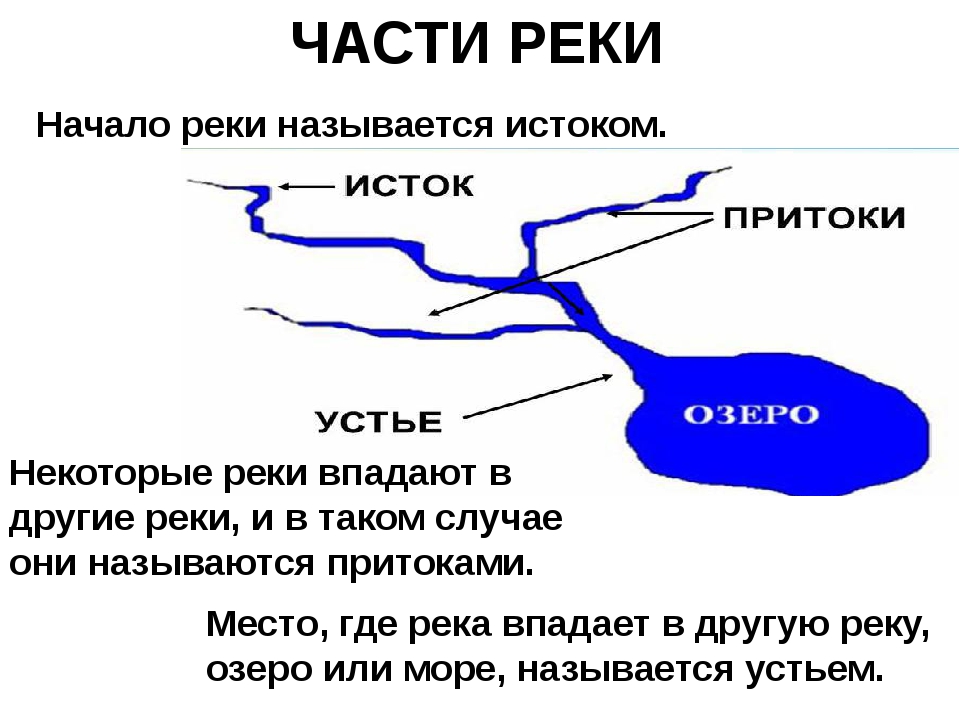 Река нева на карте санкт-петербурга