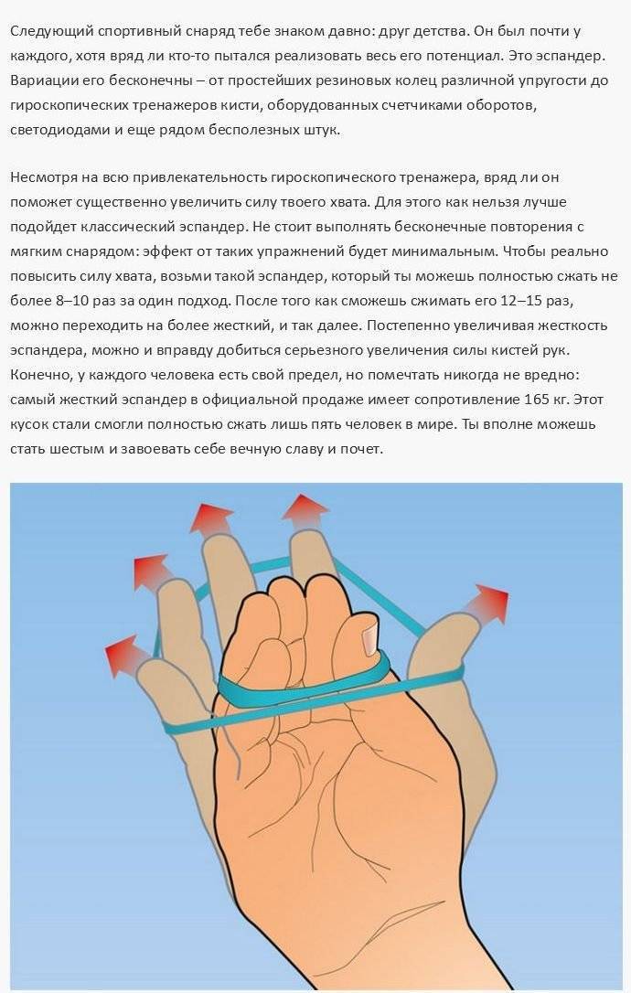 Упражнения для силы рук: комплексы и рекомендации по развитию мышц рук