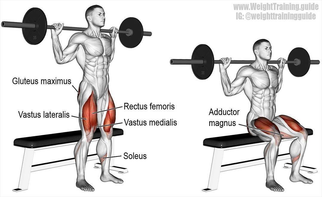 Фронтальные приседания со штангой. фронтальные приседания с гантелями :: syl.ru