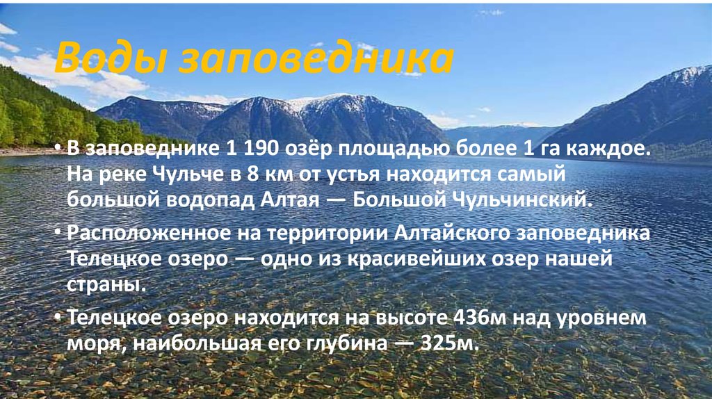 Характеристика заповедника россии. Алтайский заповедник Телецкое озеро животные. Алтайский заповедник Телецкое озеро информация. Алтайский заповедник презентация. Алтайский заповедник сообщение.