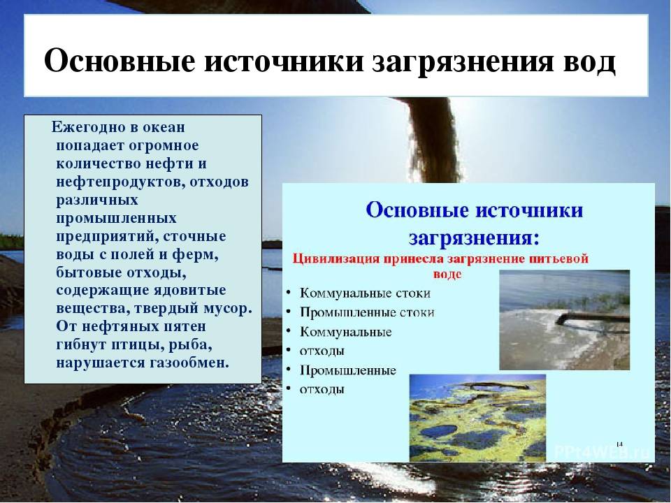 Самые грязные моря в мире и в росии: названия и описания морских водоемов, причины их загрязненности | house-fitness.ru