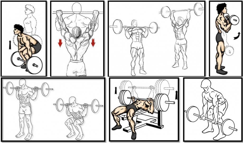Тренировка для набора мышечной массы для мужчин: базовый комплекс упражнений - tony.ru