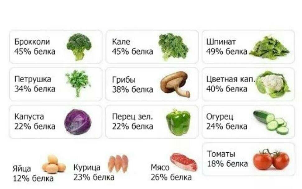 Где много белка. Растительный белок таблица. Продукты с высоким содержанием белка. Растительный белок список продуктов таблица. Какие продукты содержат белок.