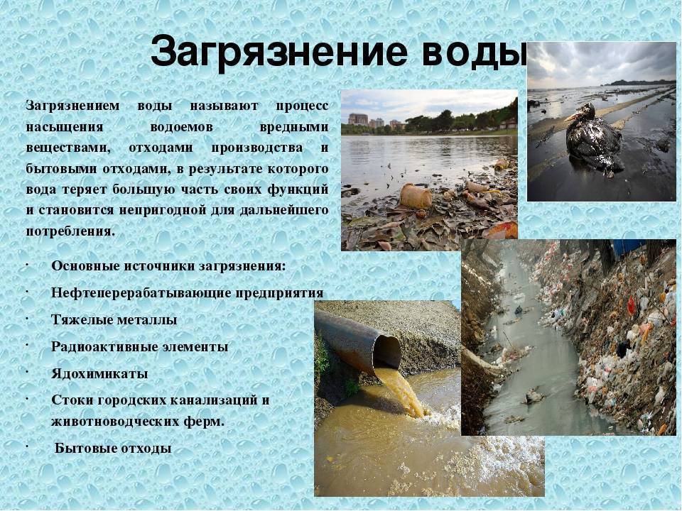 Экологические проблемы алтайского края: ресурсы и экологическая обстановка
