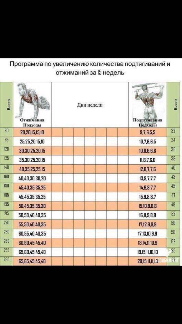 План тренировок подтягивания