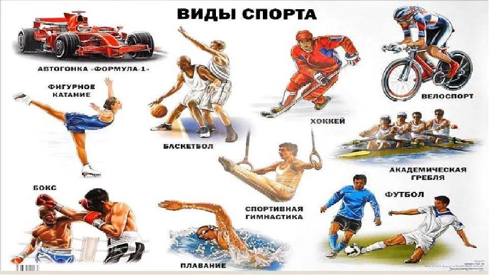 Популярные виды спорта в россии: список топ-10 самых известных, высокооплачиваемых, экзотических, традиционных и зрелищных видов в мире