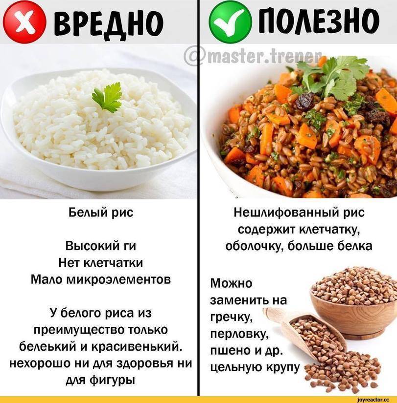 Красный рис. рецепты приготовления, польза и вред, как варить, готовить правильно. калорийность, блюда, бжу
