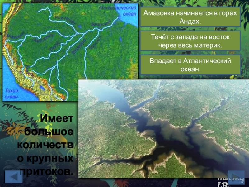 10 самых длинных рек (речных систем) мира - liketotravel.ru