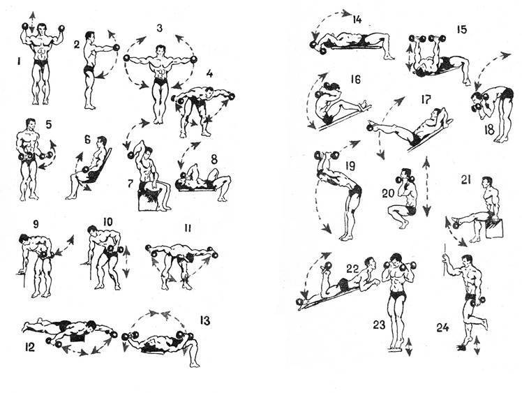 15 упражнений для девушек с гантелями для мышц всего тела