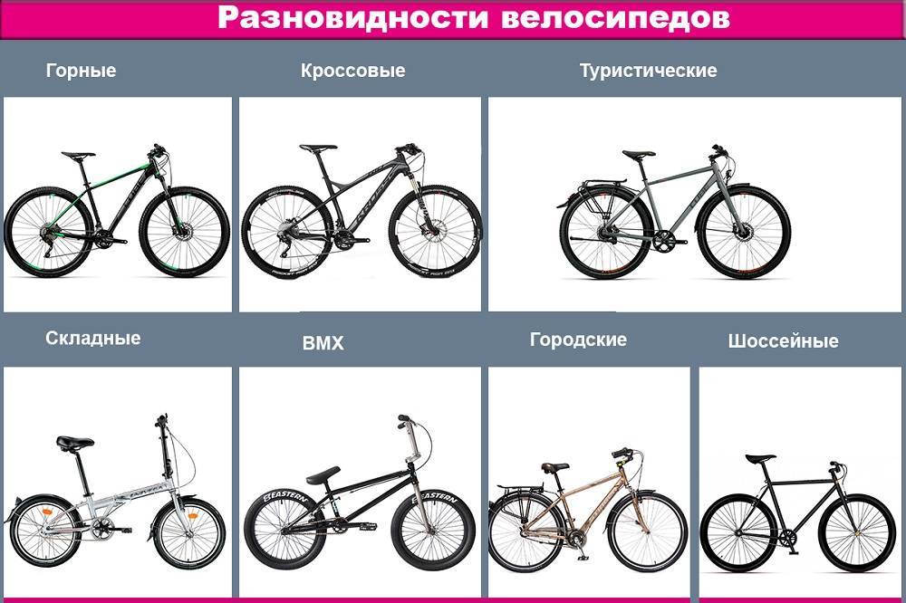 Как выбрать горный велосипед: какой правильно выбрать