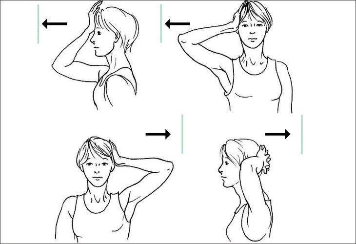 Как накачать шею? | лучшие упражнения для мышц шеи