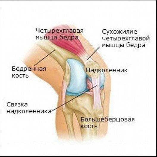 Почему болит колено у женщины: главные причины - нолтрекс.