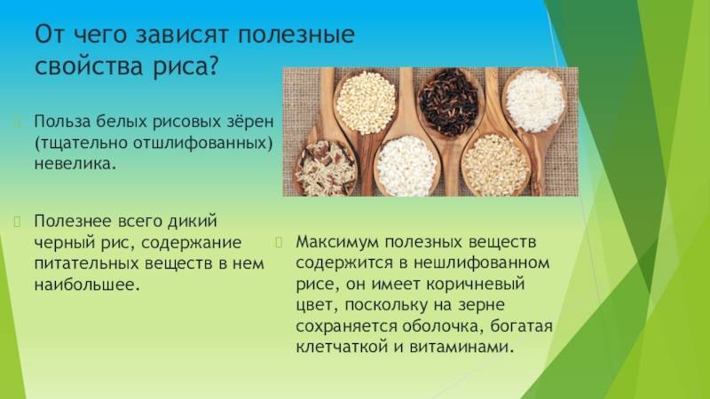 Рис: польза и вред для здоровья, калорийность