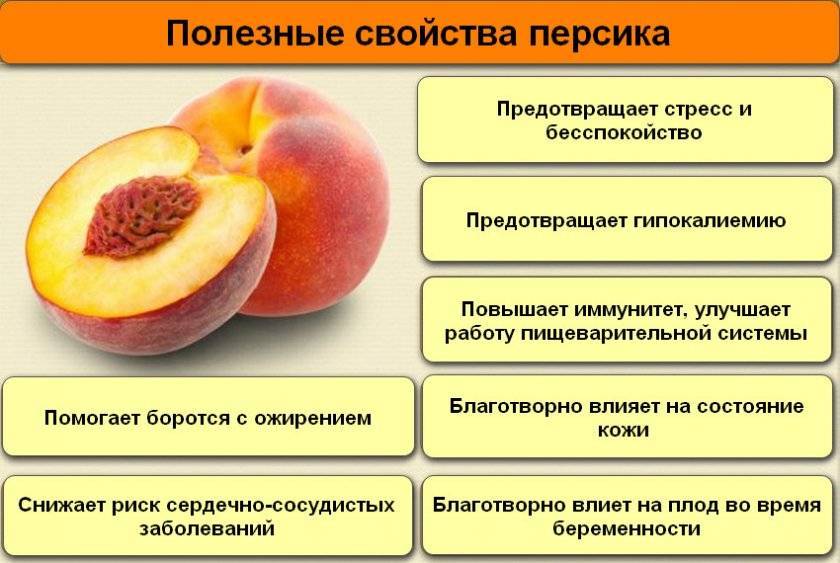 Персик - полезные свойства, состав и противопоказания (+ 17 фото)