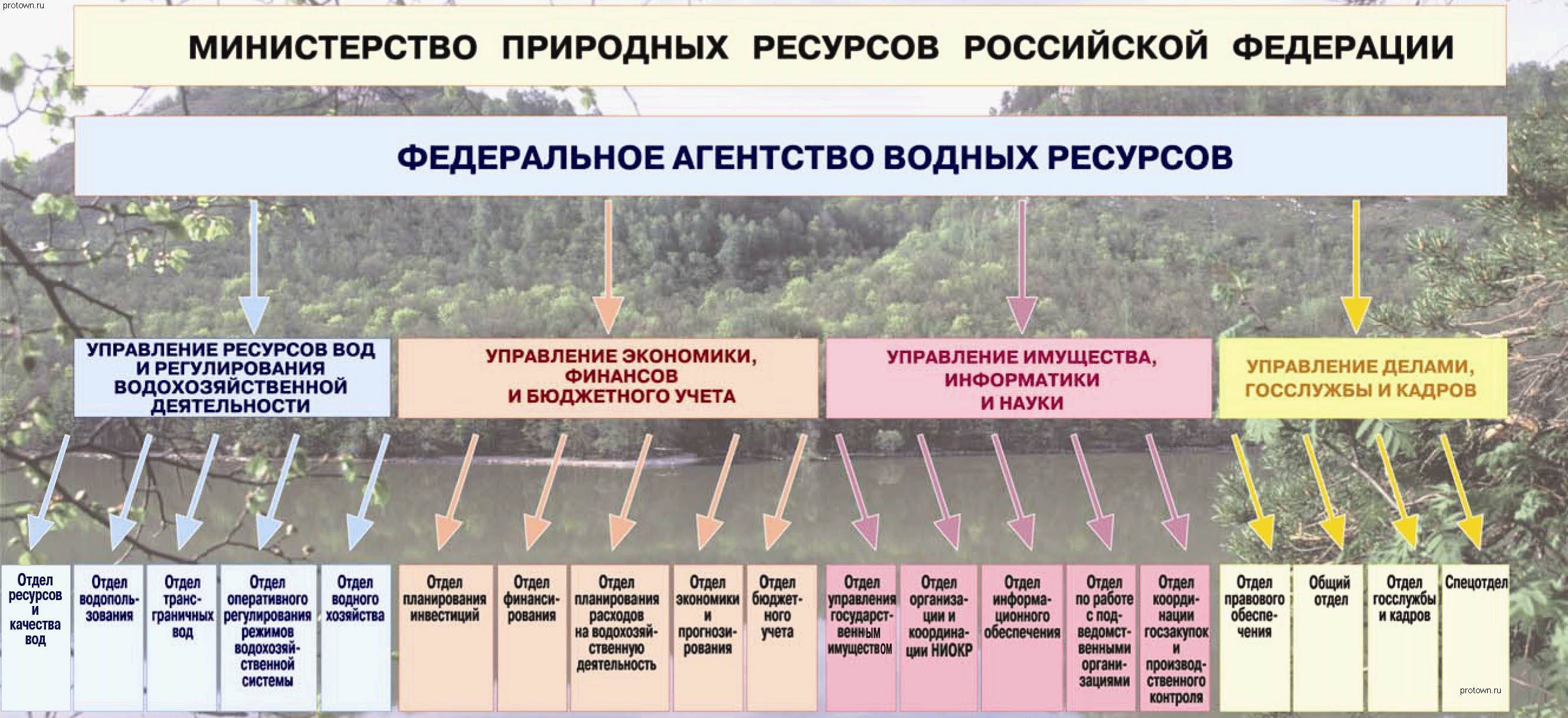 Минприроды РФ федеральные агентства водных ресурсов