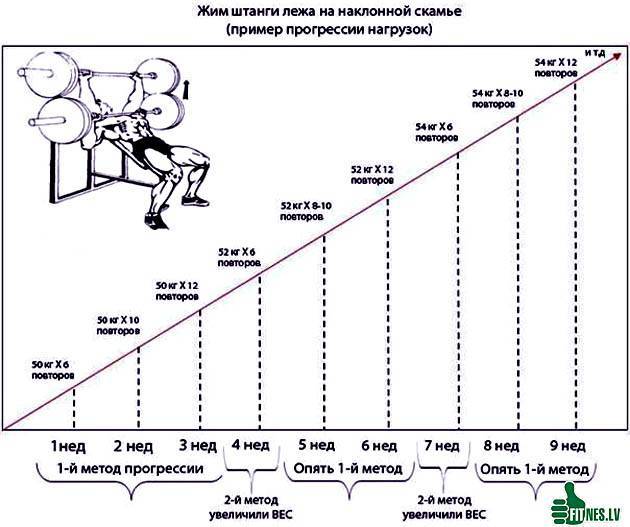 Сколько делать жим лежа