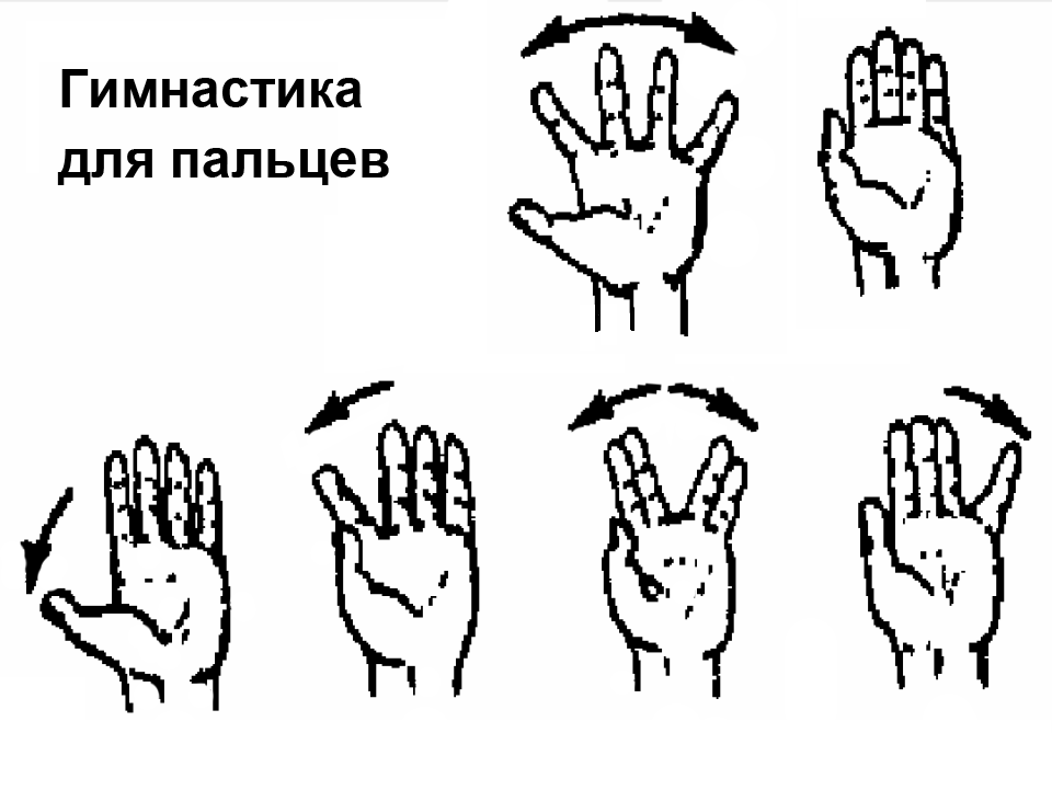 Пальцы рук и мозг. Упражнения для развития мышц кистей рук и пальцев. Упражнения на разминку кистей и пальцев. Упражнения для пальцев и кистей рук для развития памяти. Специальные упражнения для кистей рук.