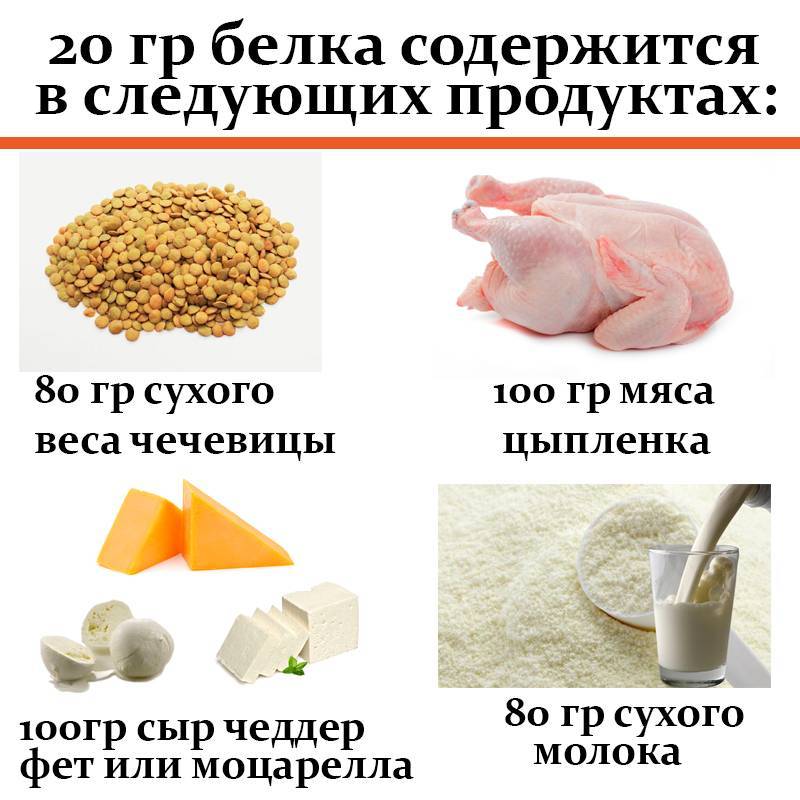 Diyetasistan | 30 полезных и портативных закусок с высоким содержанием белка