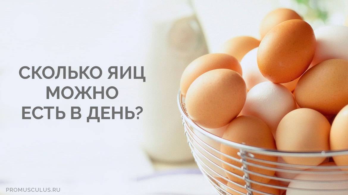 Сколько можно есть яиц в день детям, взрослым и спортсменам