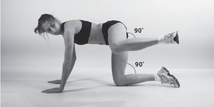 Упражнение 8 отведение согнутой ноги в сторону из положения на четвереньках