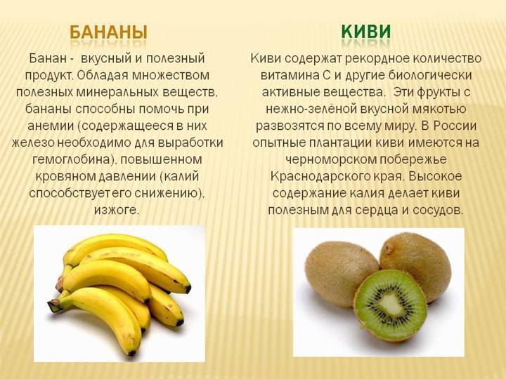 Банан — где растет, в чем их особенность и процесс выращивания + 80 фото