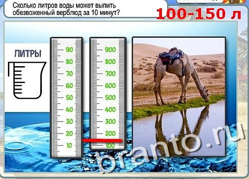 Сколько воды выпивает верблюд за раз и долго ли может продержаться без питья зимой и летом