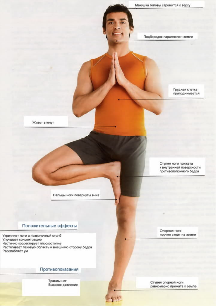 Биомеханика йоги