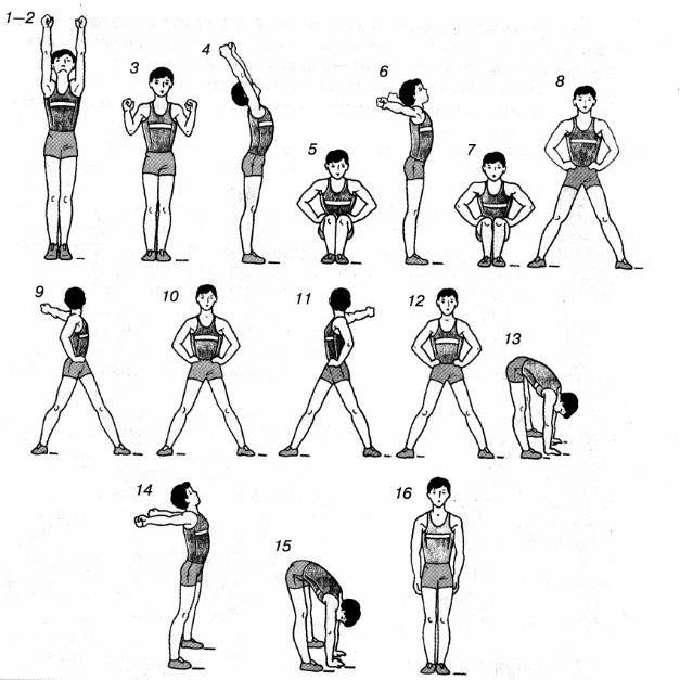 Комплекс утренней гигиенической гимнастики (угг) – физкультура – x-medical