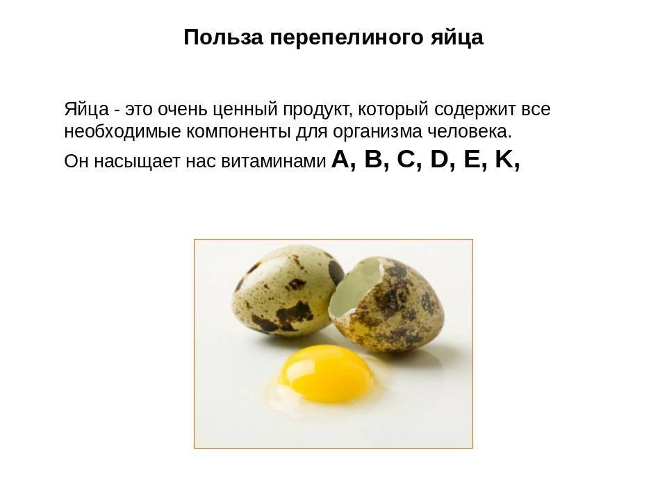 Полезные свойства перепелиных яиц для организма человека + 5 простых рецептов