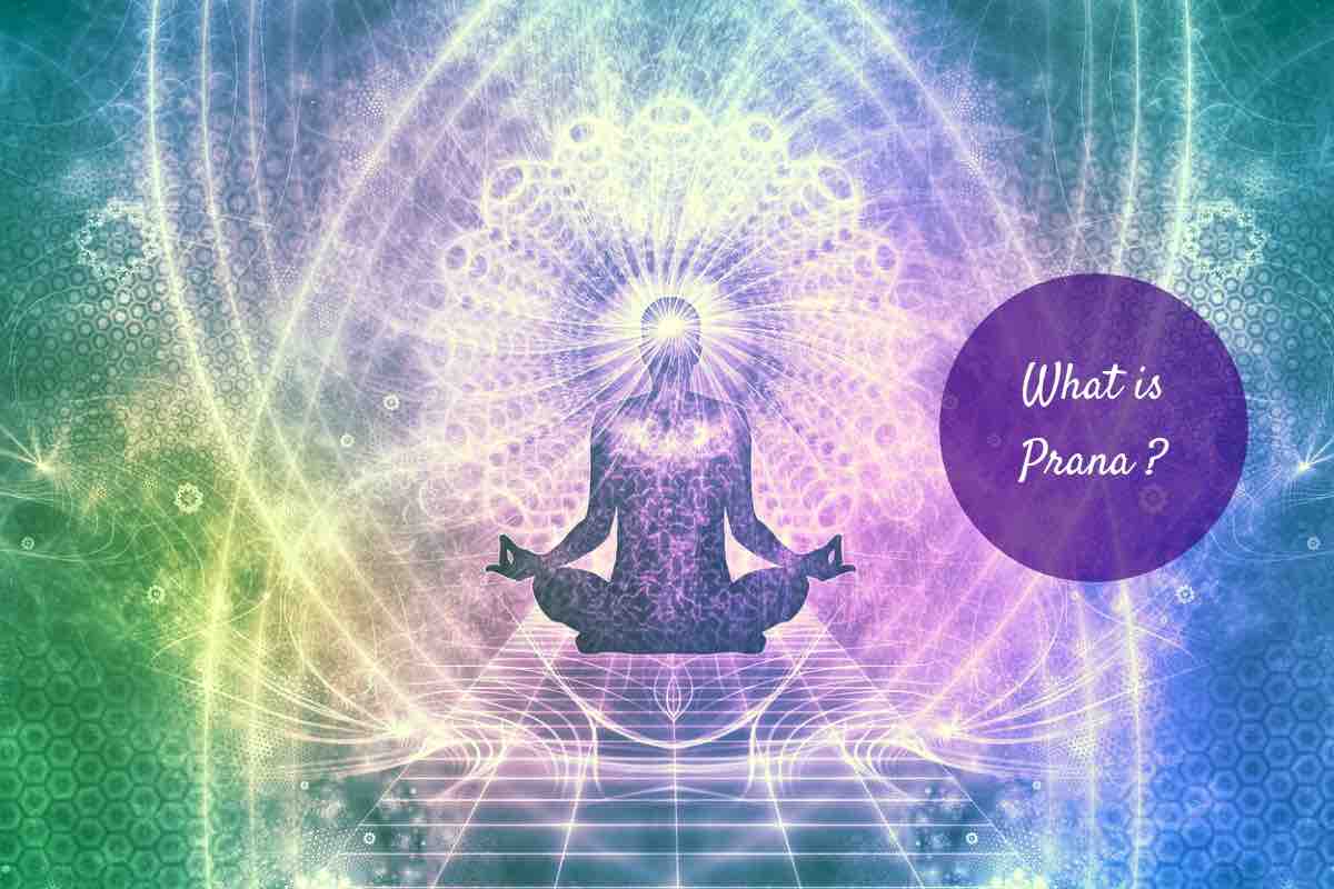 Прана йога: что это такое, начало и смысл
