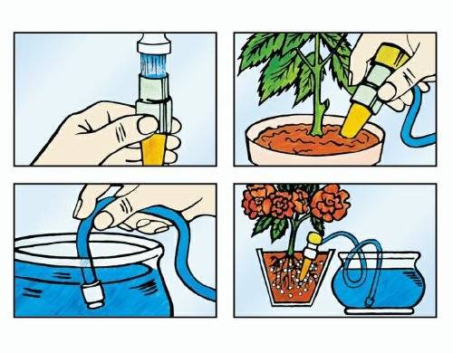 Можно ли поливать цветы минеральной водой и зачем?